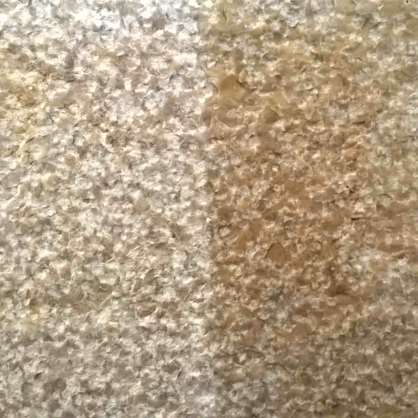 Calcaire Kanfanar beige bouchardé