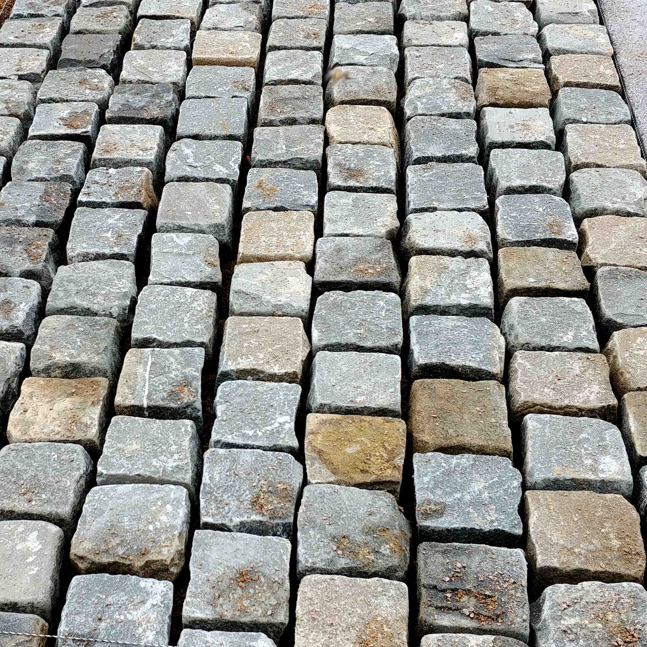 Réalisation en proportion 80% gris, 20% beige, pavés 12*12*10/12 toutes faces éclatées